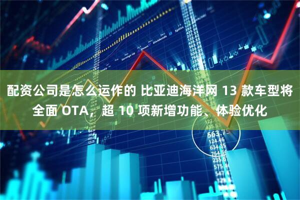 配资公司是怎么运作的 比亚迪海洋网 13 款车型将全面 OTA，超 10 项新增功能、体验优化