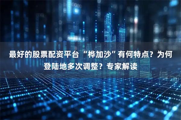 最好的股票配资平台 “桦加沙”有何特点？为何登陆地多次调整？专家解读