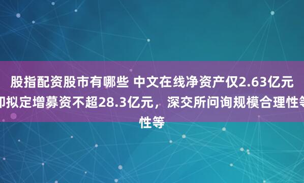 股指配资股市有哪些 中文在线净资产仅2.63亿元却拟定增募资不超28.3亿元，深交所问询规模合理性等